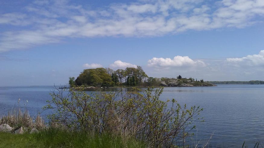 A treed island sits in calm waters on a sunny day, with bushes in the foreground on the near shore.