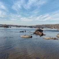 May be an image of tree and body of water