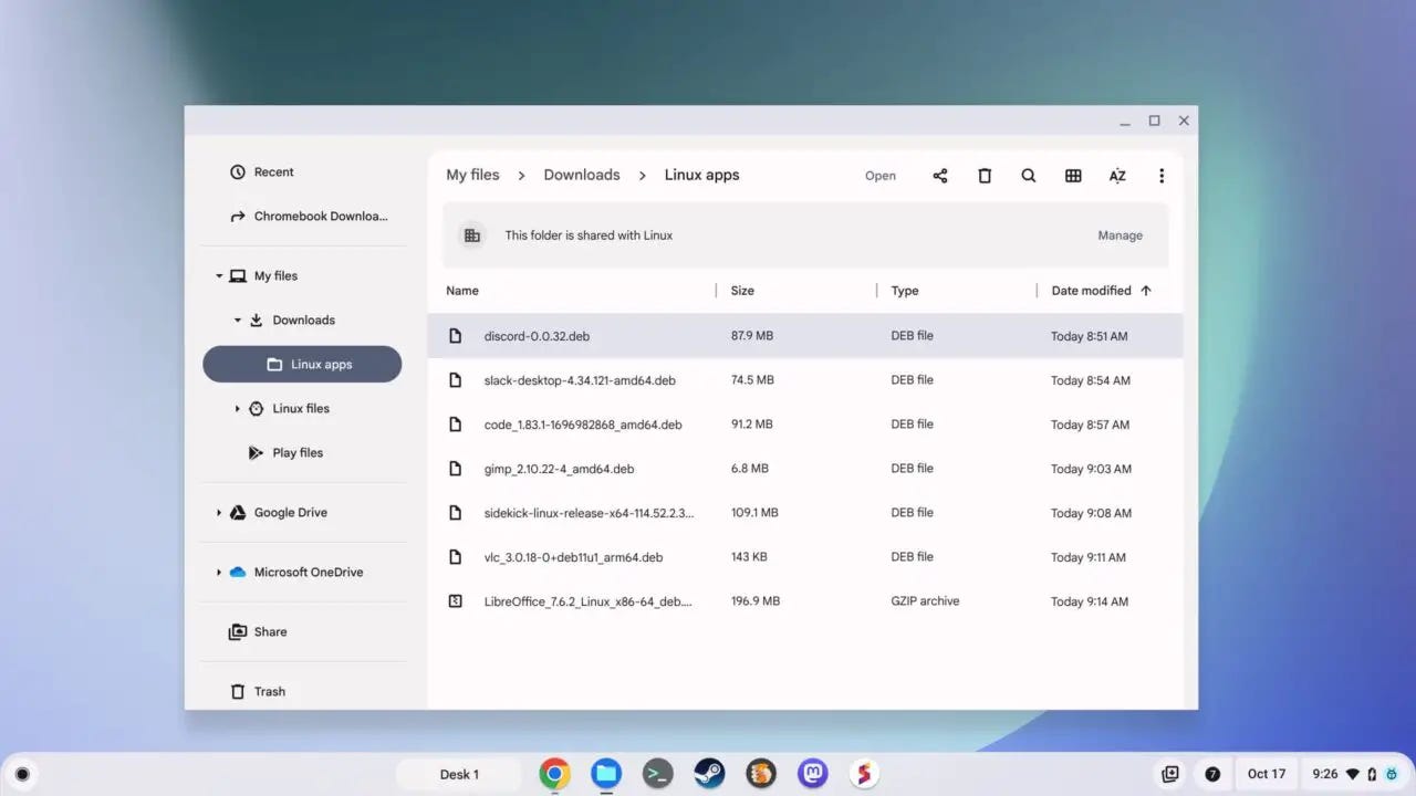 ChromeOS Files app on a Chromebook showing downloaded Linux desktop app files