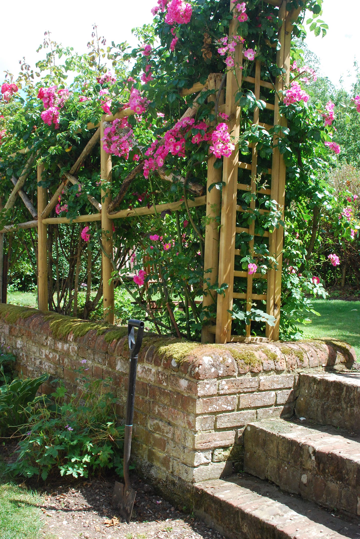 Rose trellis on the top terrace outside the Kilns, home of CS Lewis.