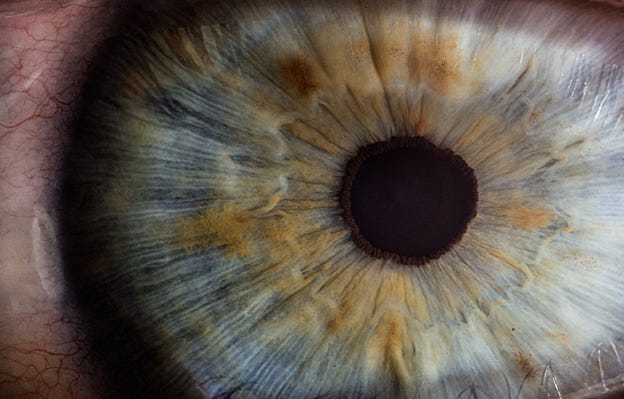 Close Up of eyeball