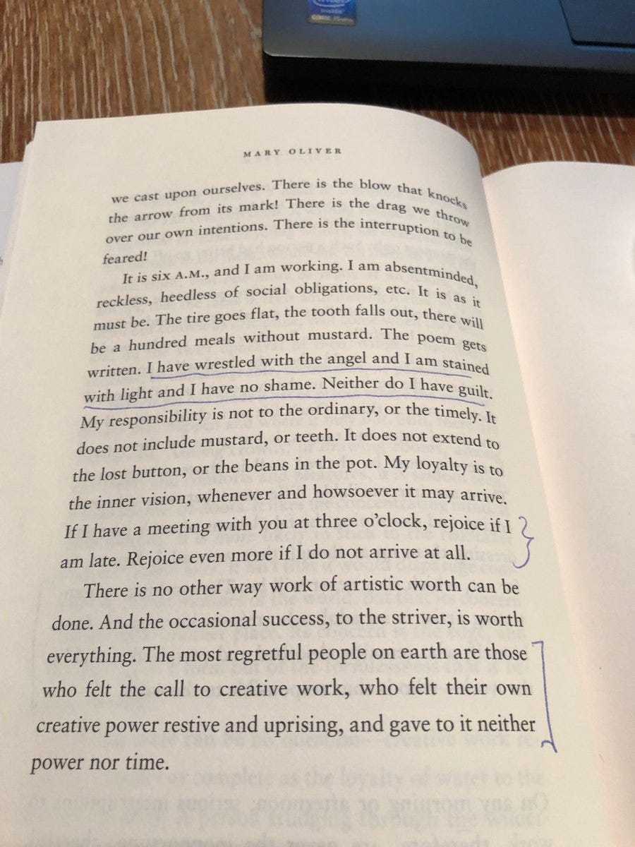 JohnBlase on Twitter: "Mary Oliver's essay titled “Of Power and Time.” I've  read it I bet 50x, and I believe it is the single best piece of advice for  writers. Sweep the