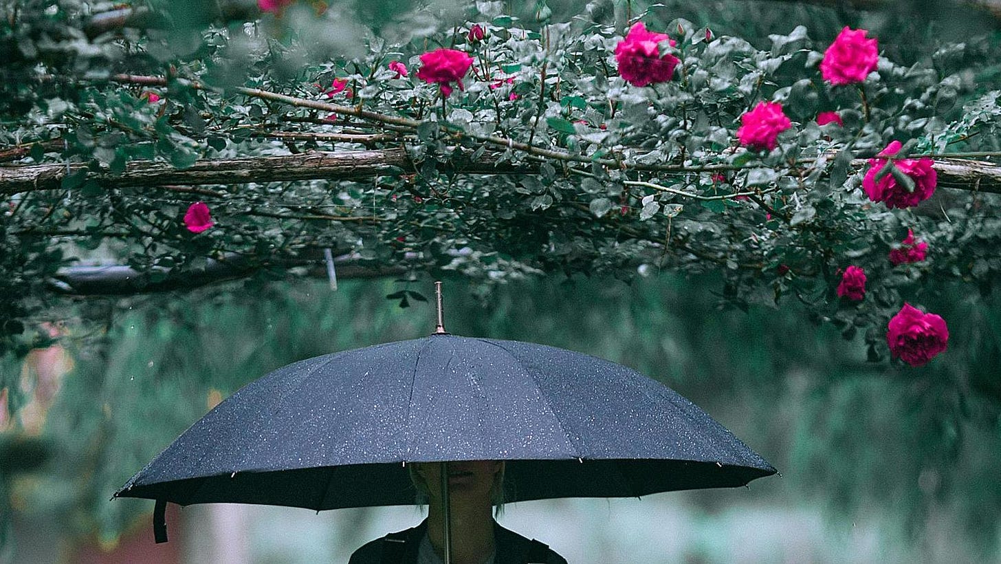 Umbrella under roses