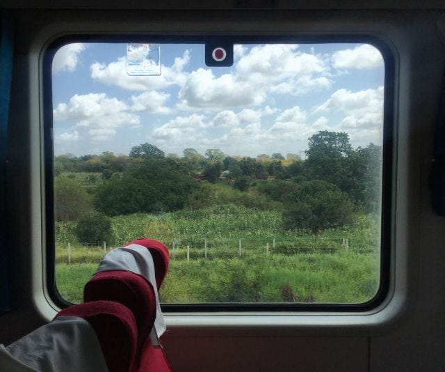A green countryside seen through a train window
