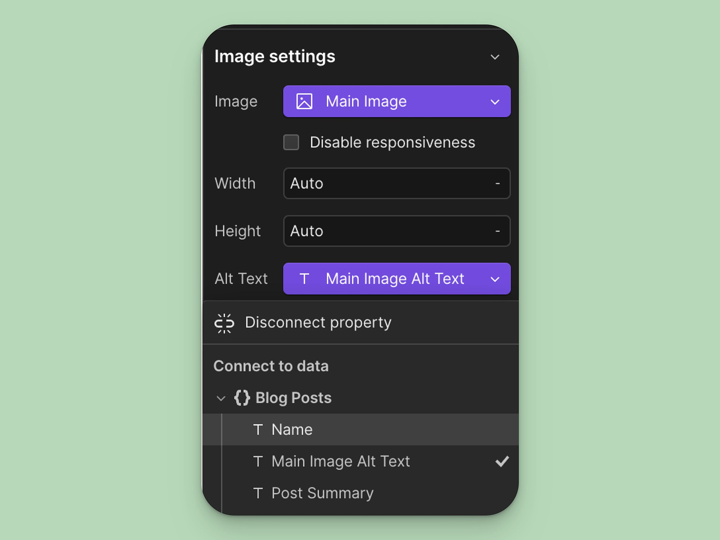 Connecting a custom field called Main Image Alt Text to the Alt Text field in Image settings.