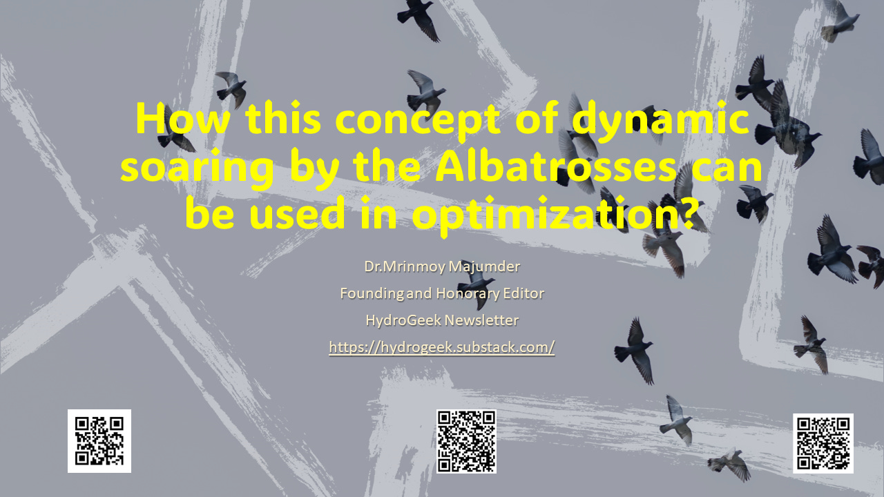 How to use the concept of dynamic soaring by the Albatrosses in optimization?