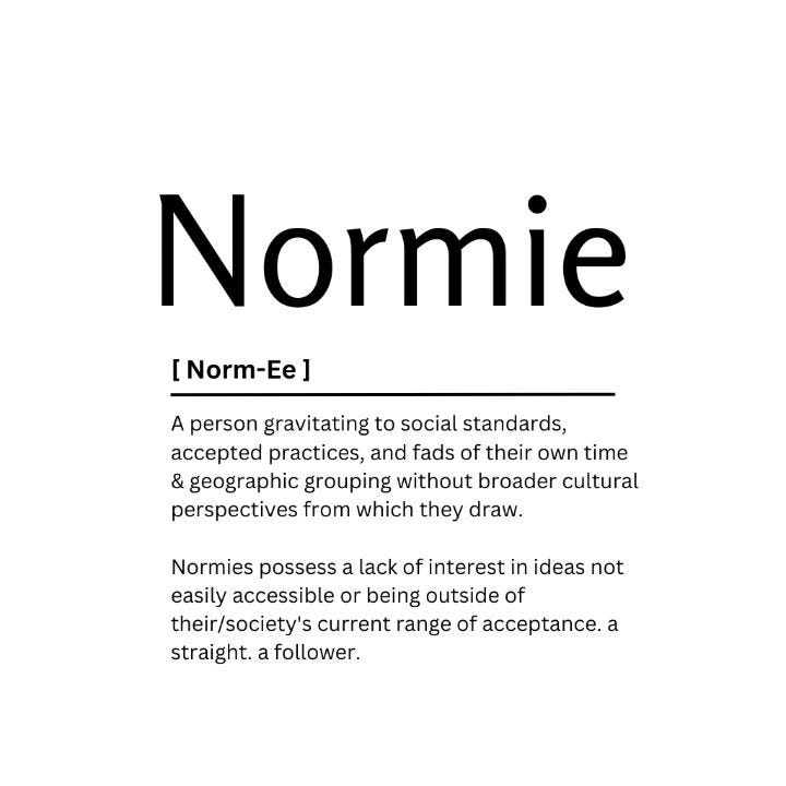 Normie Dictionary Definition - Kaigozen - Digital Art & AI, Humor & Satire,  Signs & Sayings - ArtPal