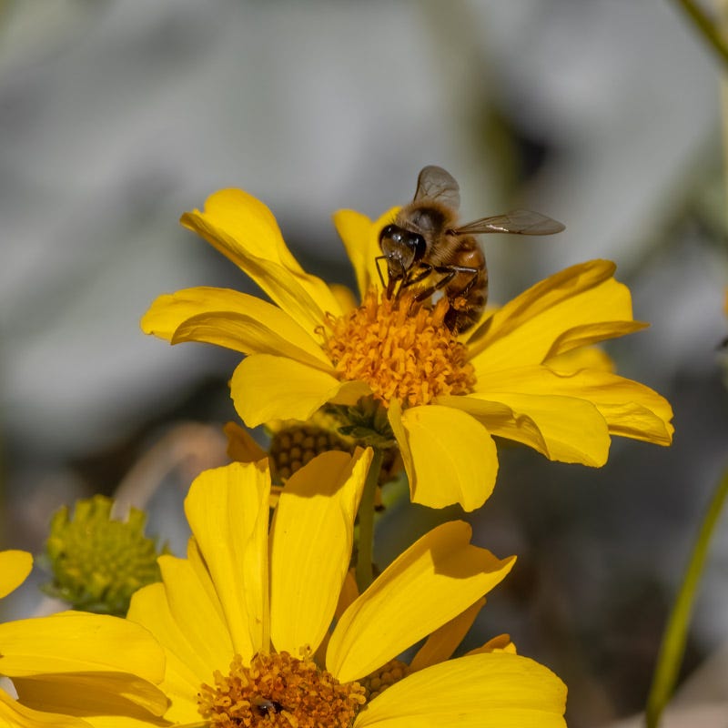 20250106-Marana-65-Edit.jpg