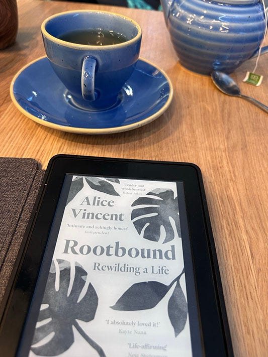 A copy of the book ‘Rootbound by Alice Vincent’ on a Kindle on a table, set next to a cup and pot of green tea.