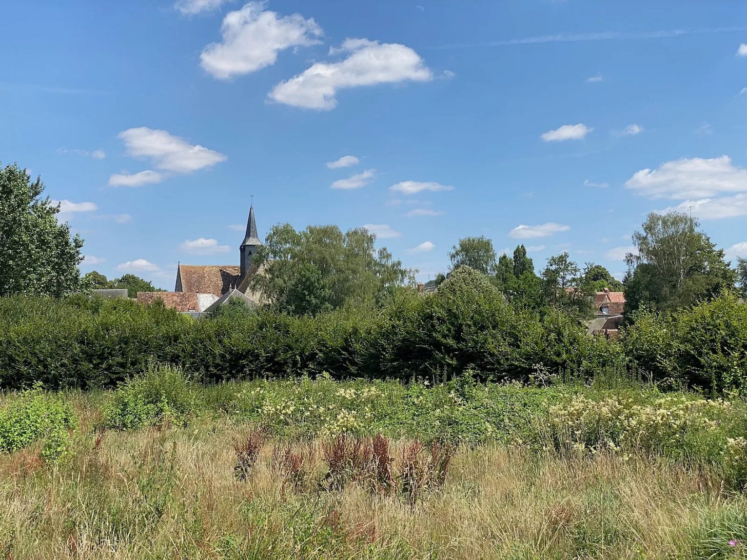Entre forêts et champs Entre forêts et champs