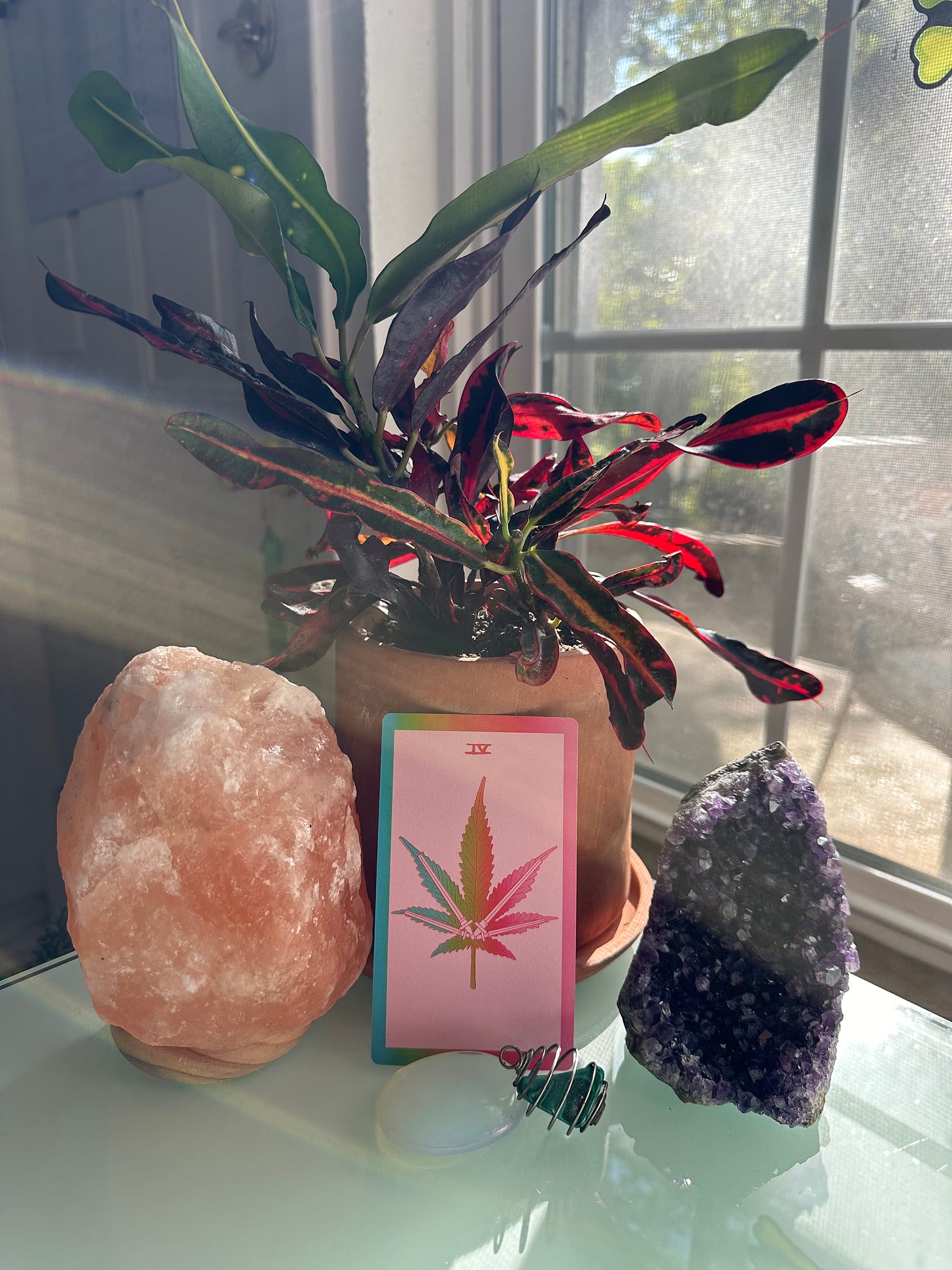 The 4 of Swords card among plants and crystals.