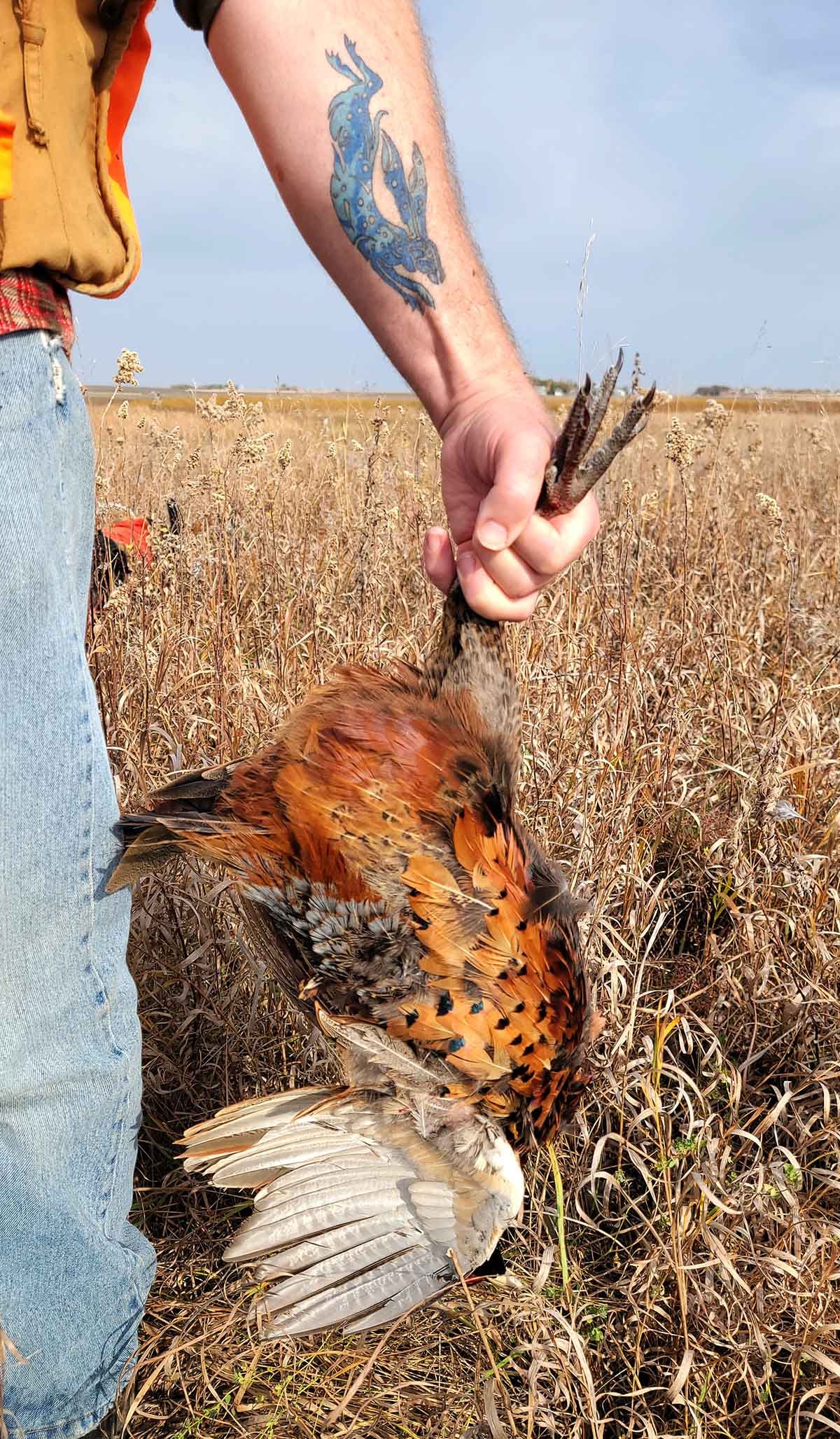 Holding a pheasant in the field. 