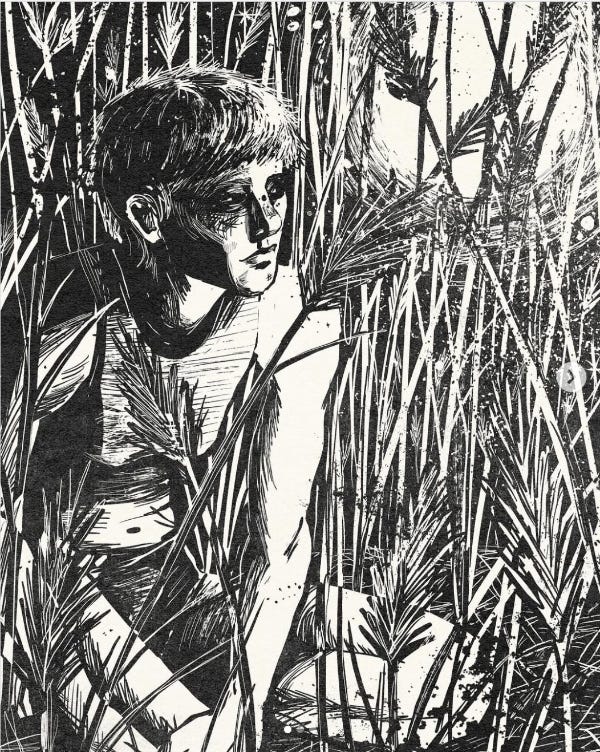 The artwork Haven, illustrated by Evangeline Gallagher, featuring a peaceful-looking person resting in a field of grass.