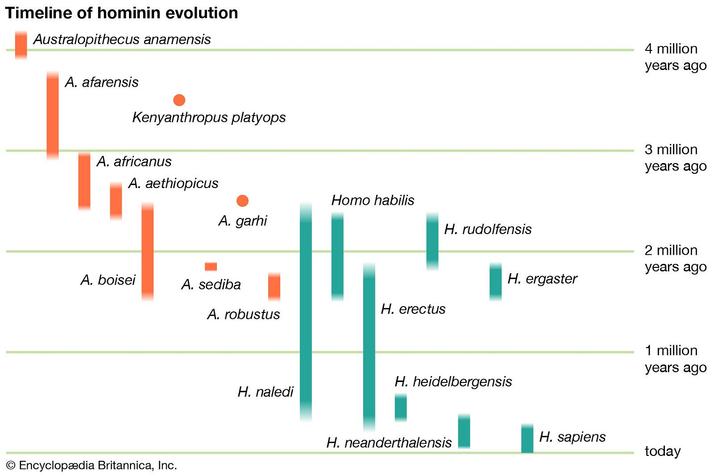 Paleolithic Period | Definition, Dates, & Facts | Britannica