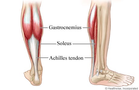Achilles Tendon Injury: Physical Therapy And Rehab - Health Library |  NewYork-Presbyterian