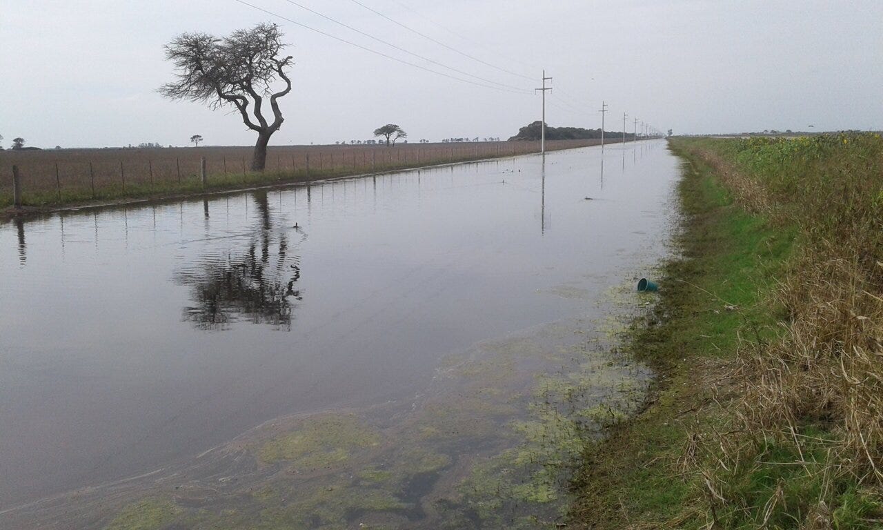 Expanding large-scale agriculture is escalating flooding in the largest South American breadbasket