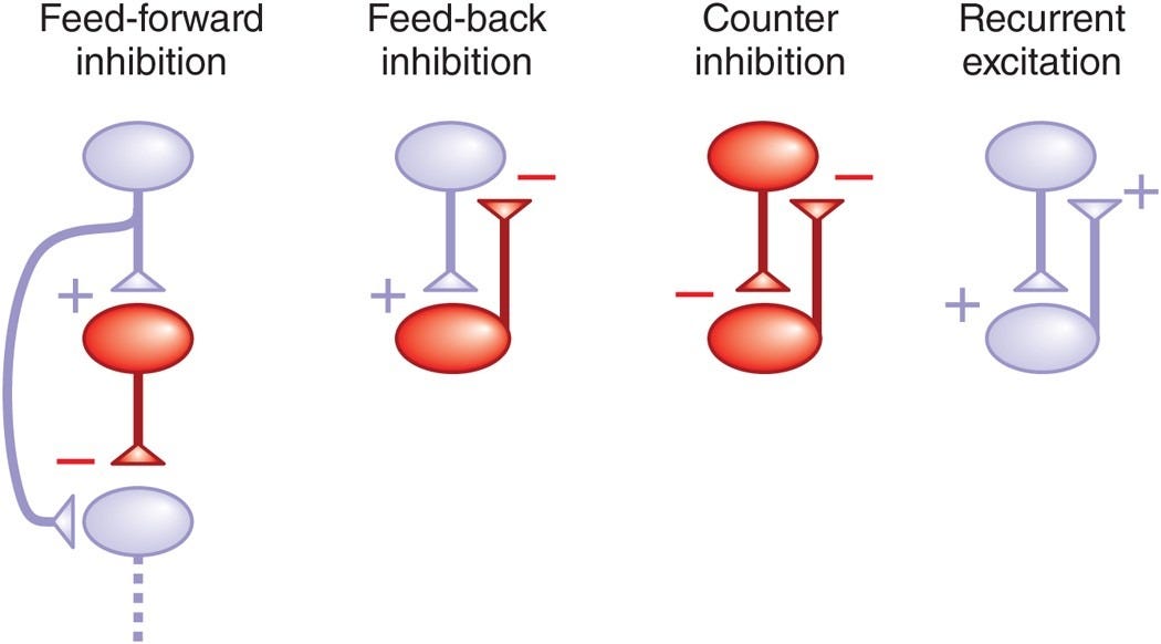 Microcircuits and their interactions in epilepsy: is the focus out of  focus? | Nature Neuroscience