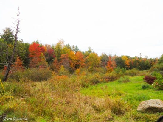 Sanbornton, NH 