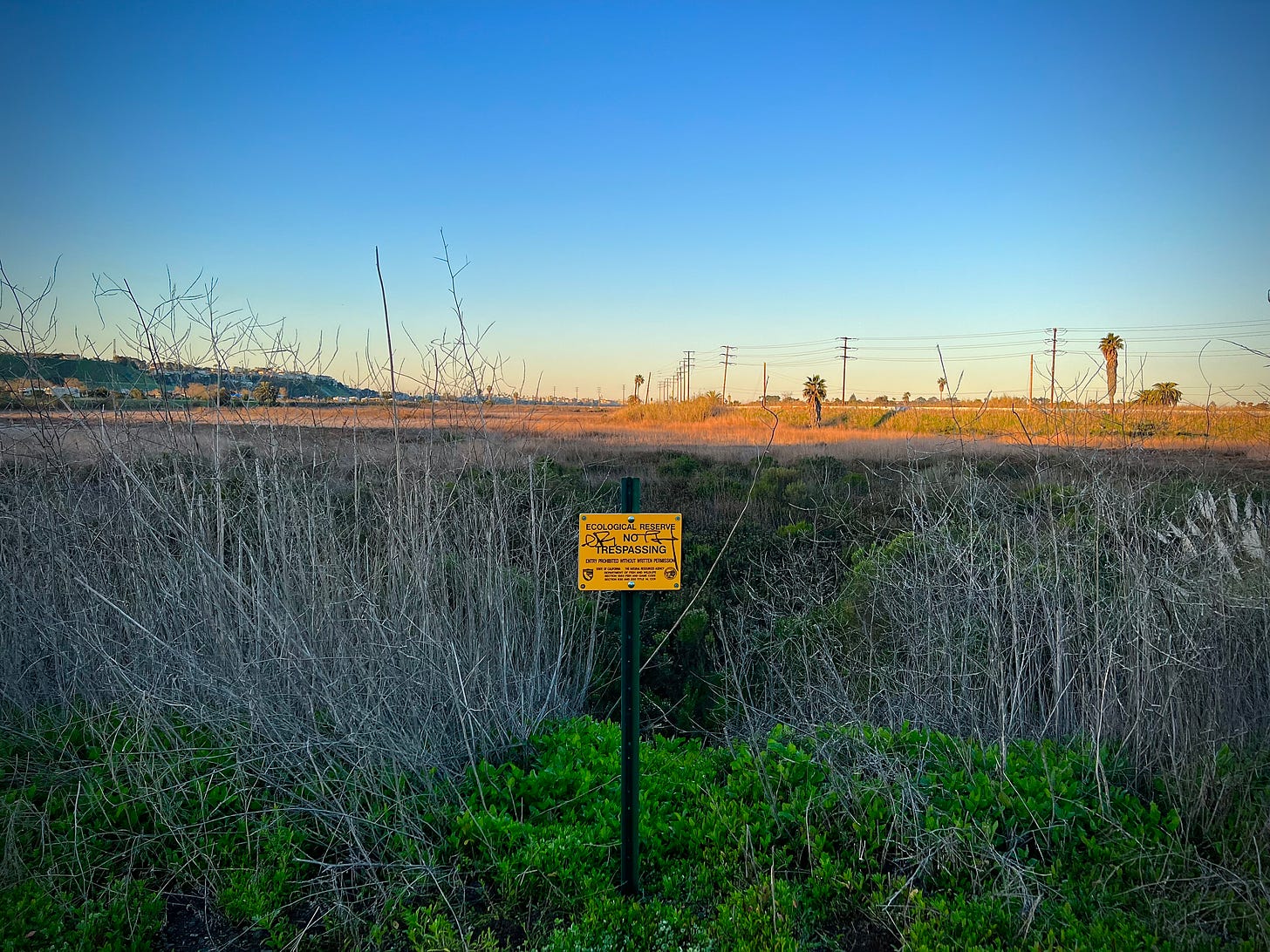 Picture of a California wetland, with a yellow sign in the foreground that says "Ecological Reserve - NO TRESPASSING"
