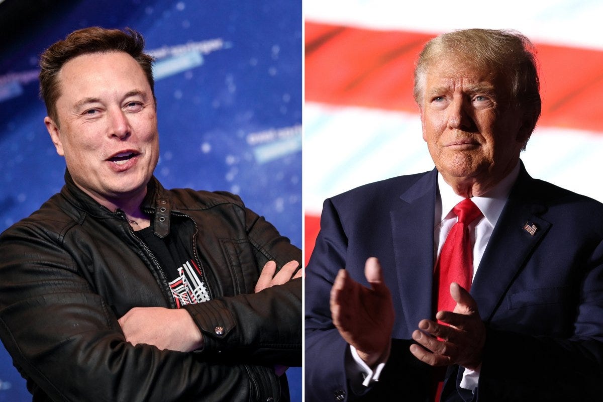 What Elon Musk and Trump Have Said About Former President's Twitter Return - Newsweek