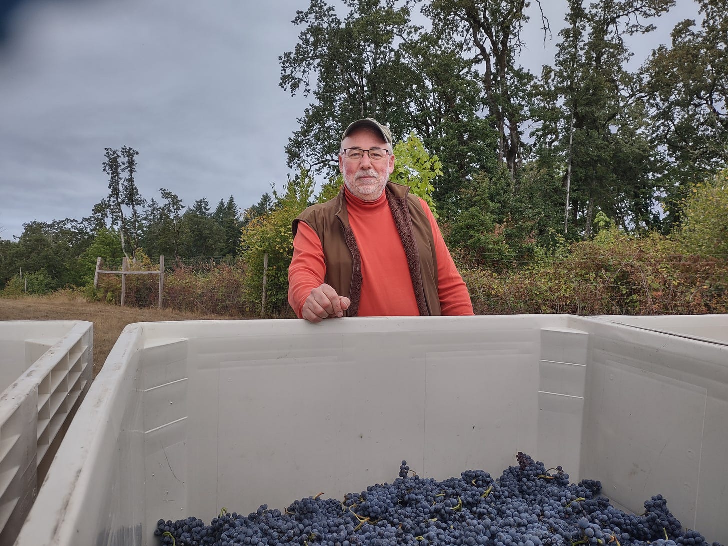 Ernie and the first hand harvested Wadenswil clusters of Vintage 2023!
