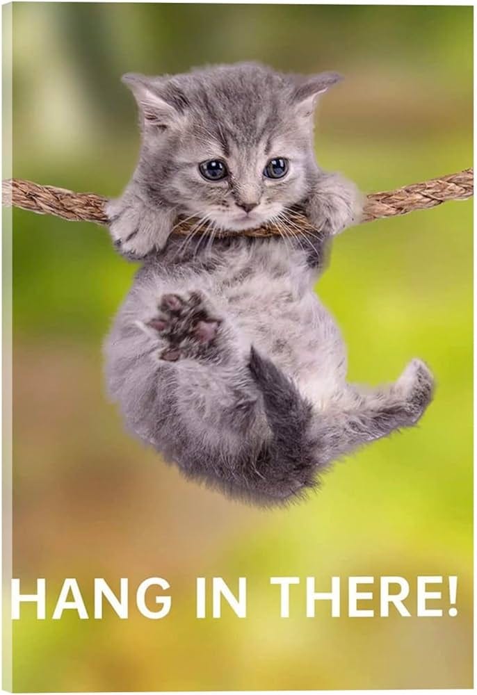 Amazon.com: Hang In There Cat Poster - Funny Cat Office Canvas Wall Art  Poster Decor for Living Room and Bedroom Garage Wall Modern Home Framed or  Unframed (8in*12in,Unframe): Posters & Prints