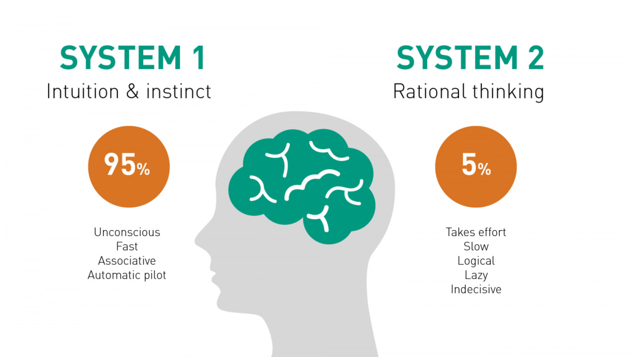 The Brain - System 1 and System 2