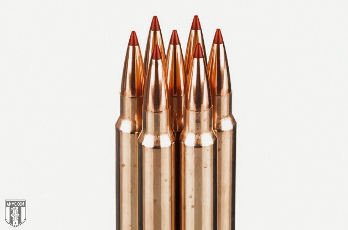 Winchester ammo for sale