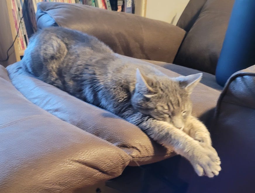 My grey tabby Thornton, stretched out on a recliner with his front paws crossed