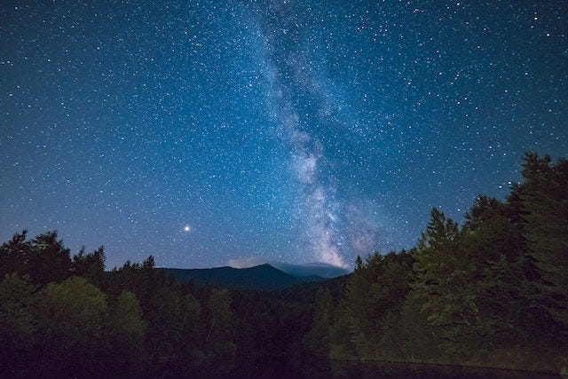 starry night in the woods with the north star shining