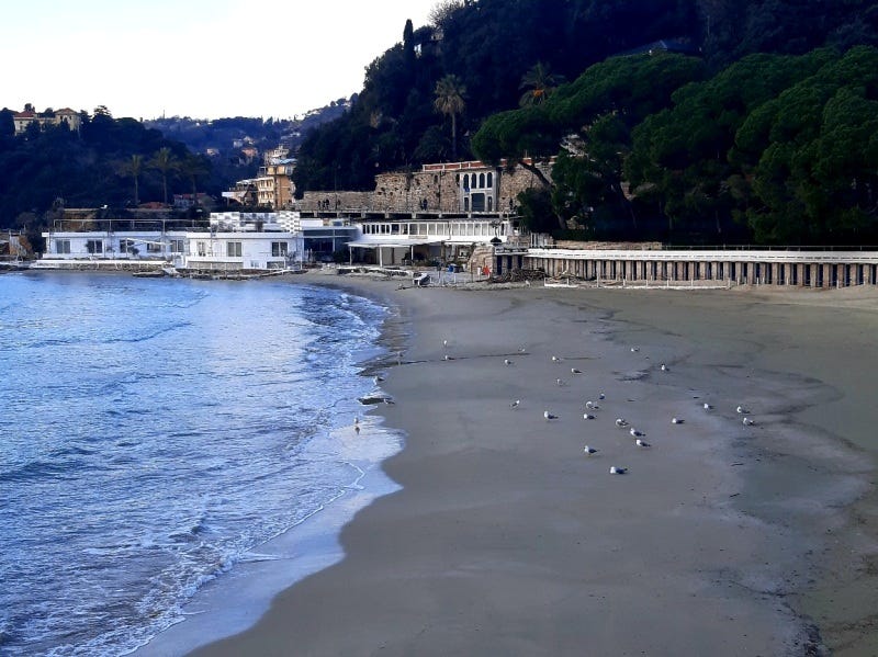 in the bay of Lerici, seagull enjoy winter beaches