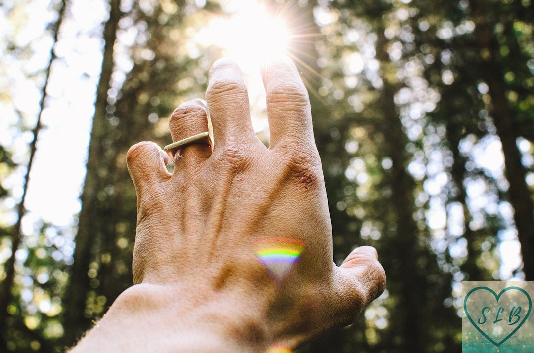 person's hang reaching out sunlight