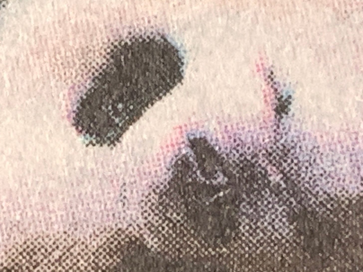 An extreme closeup detail of a photograph in the print edition of the New York Times, so the halftone dots of the printing process are enlarged. Detail contains an image of a panda lying on its side.