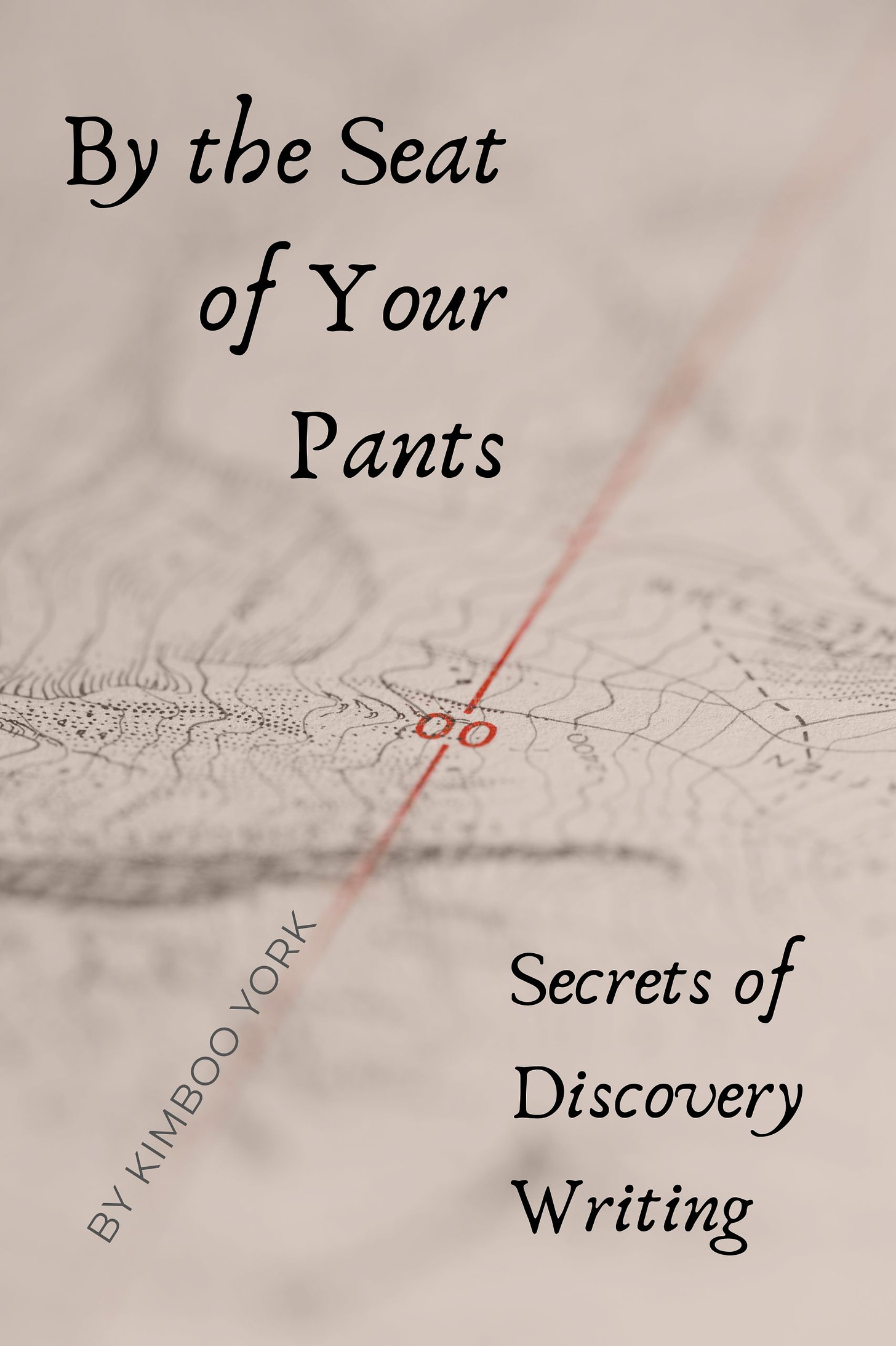 cover image for the book "By the Seat of Your Pants: Secrets of Discovery Writing"