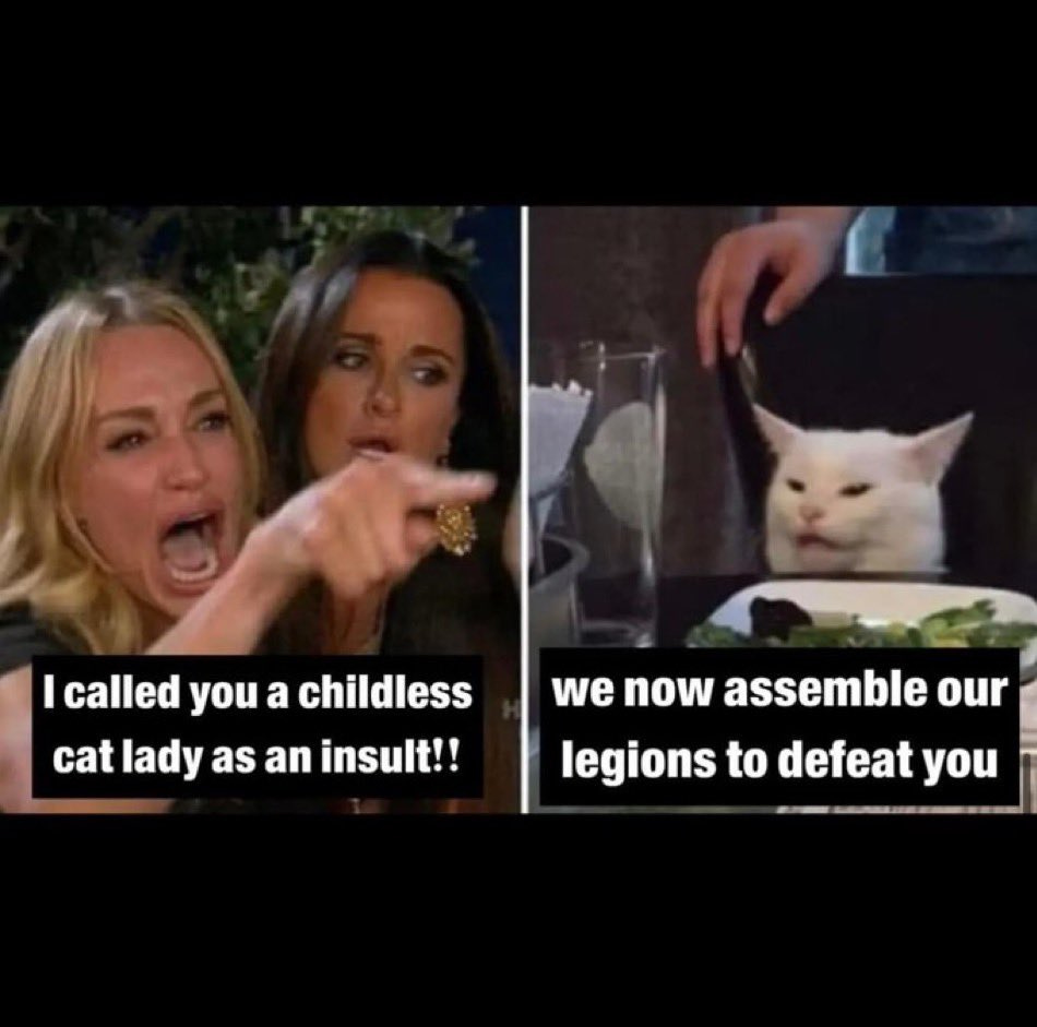 Meme of two housewives screaming and pointing, saying "I called you a childless cat woman" and cat responds "we now assemble our legions"