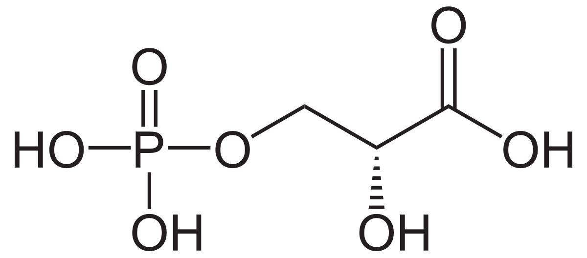 3-Phosphoglyceric acid - Wikipedia