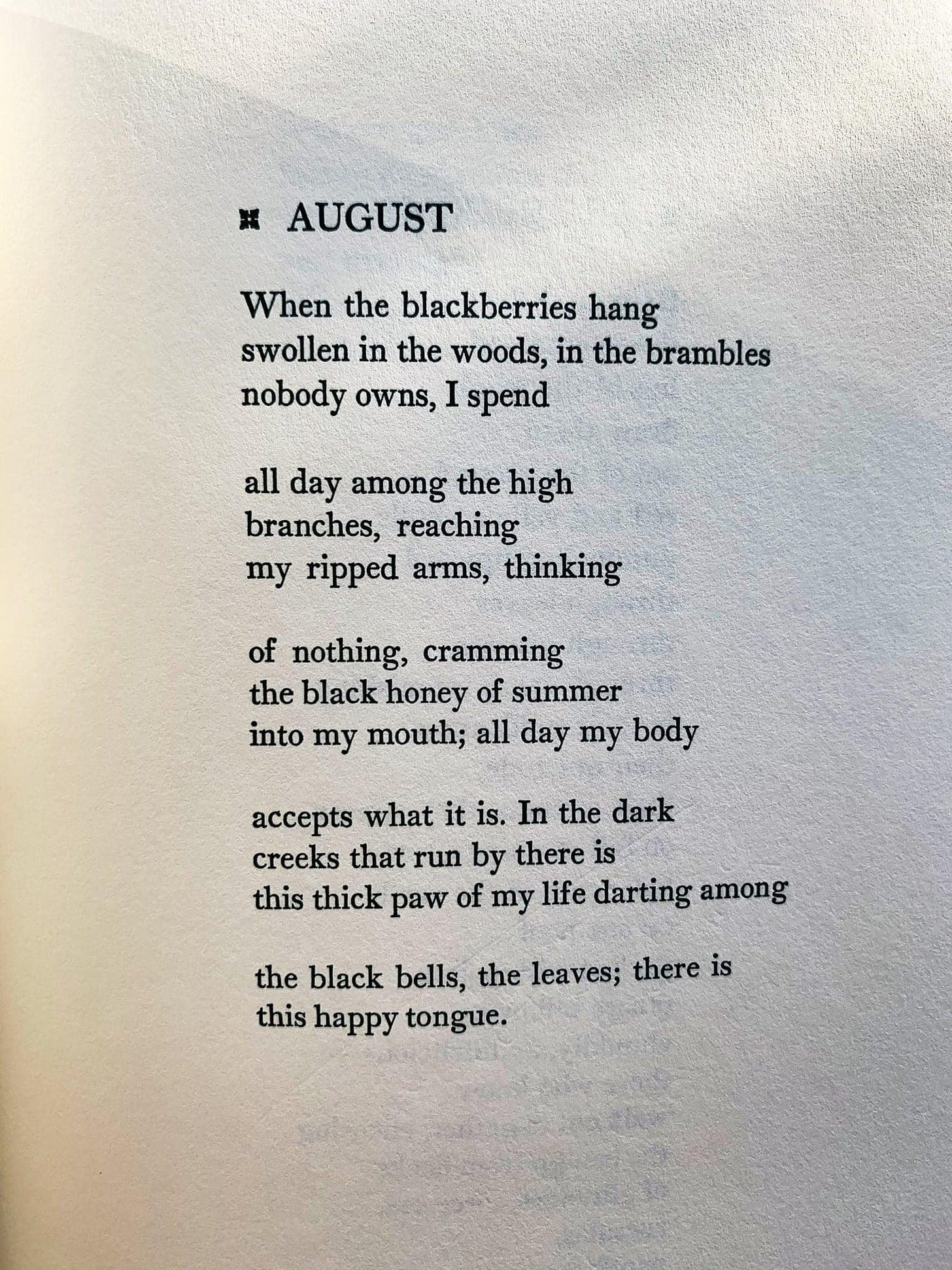 Center for Earth Ethics ar Twitter: "August: Mary Oliver #poetrymatters  #remembertheearth https://t.co/oeysRsxRRL" / Twitter