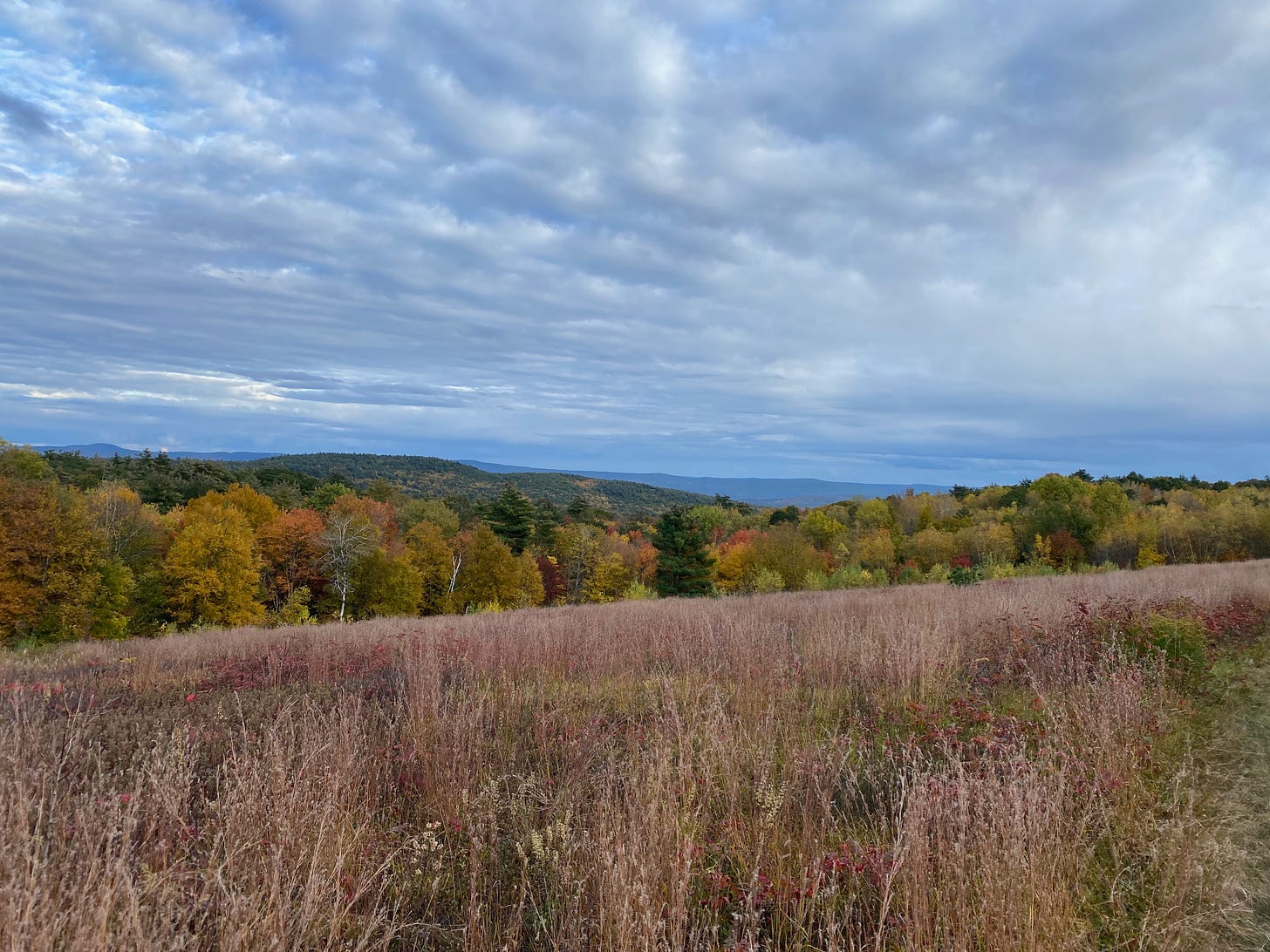 A field of brown and red grasses on a ridgetop. Hills of red, gold, orange, and green trees stretch out toward the horizon, under a sky of white and silver clouds.