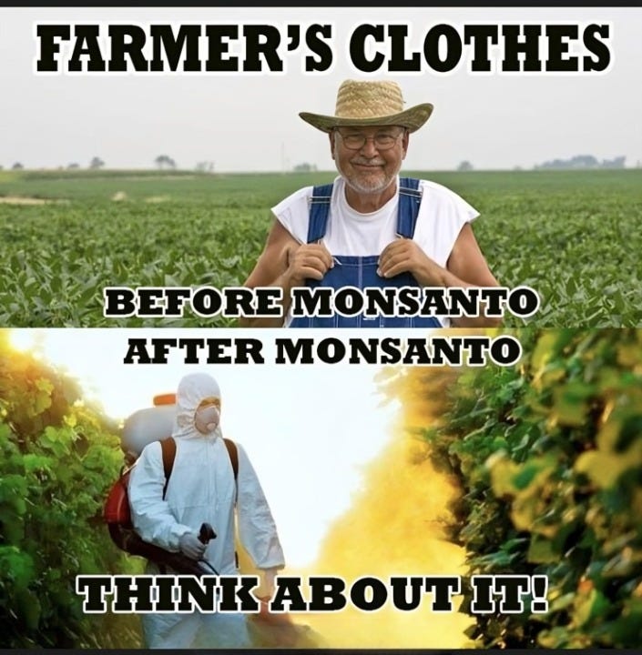 A comparison of farmers' attire before and after the influence of Monsanto, showing the shift to hazardous chemical exposure.