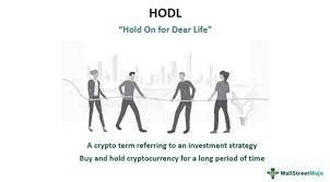 HODL - Meaning, Strategy, Pros, Cons, How it Works?