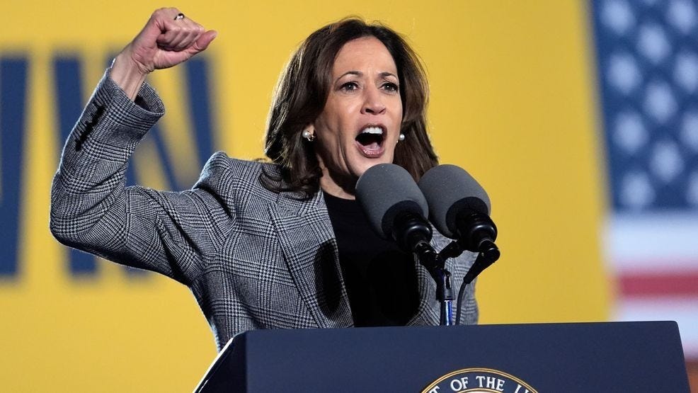 Harris reaches for a big moment in her closing argument for 'turning the  page' on Trump