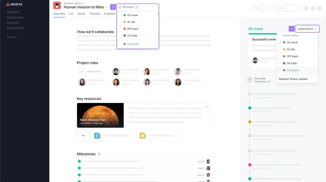 Project progress and status updates