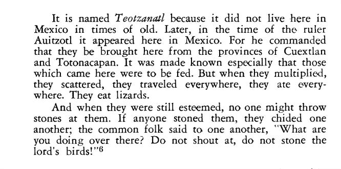 Screenshot of text about Teotzanatl from the General History of New Spain