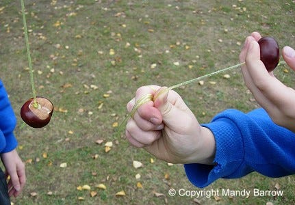 Playing conkers