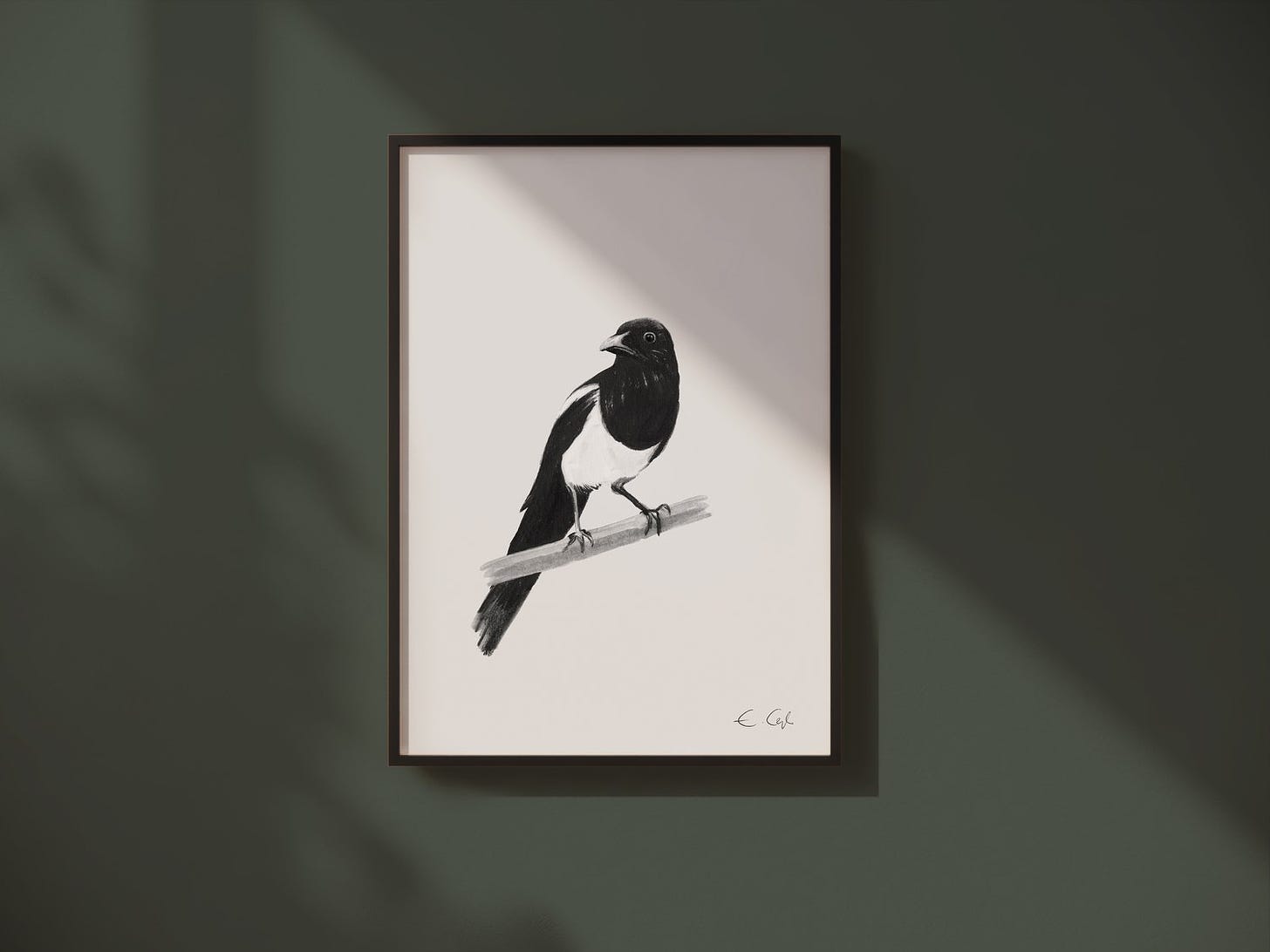 Painting of a black and white magpie