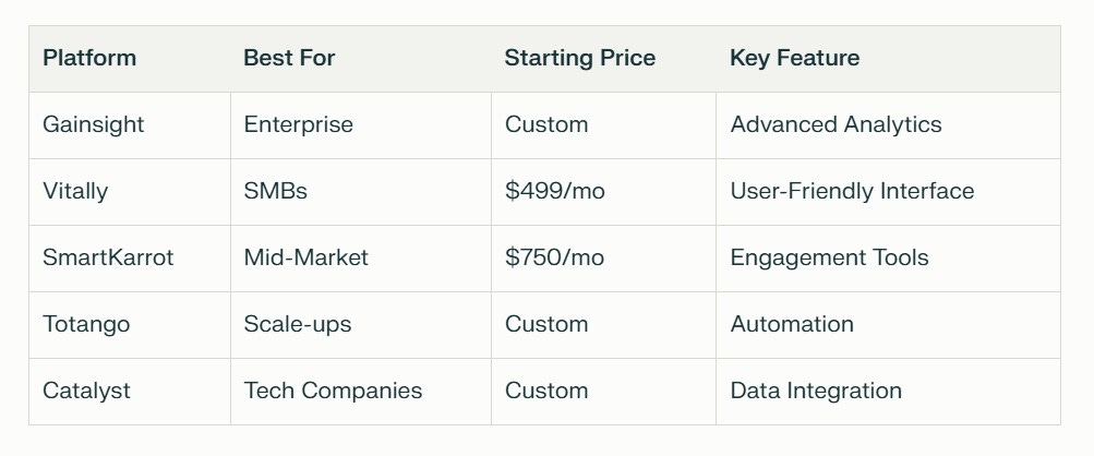 Summary table comparing customer success platforms with their ideal customer segments, starting prices, and key distinguishing features