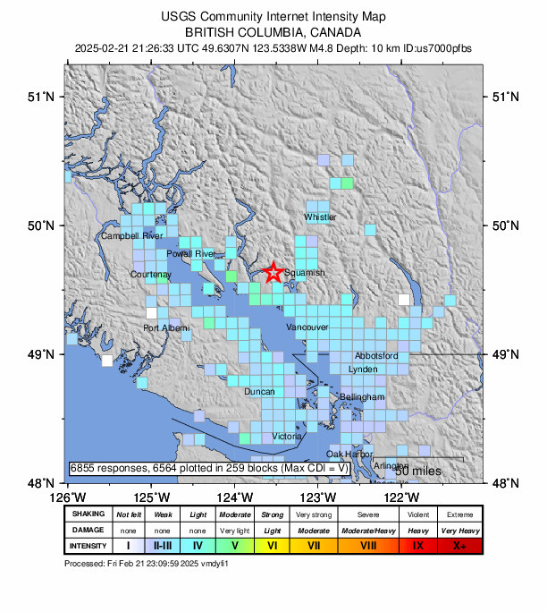 DYFI intensity map