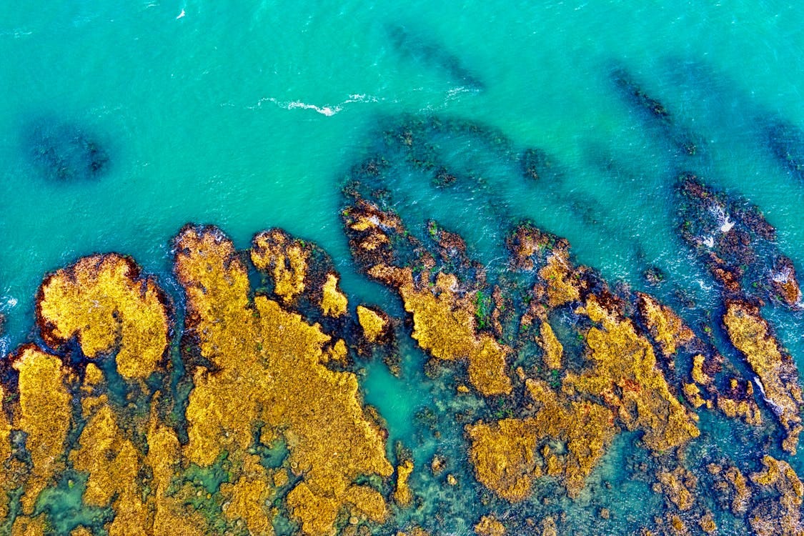 Free Stunning aerial shot of vibrant coral reefs in clear turquoise water in Banten, Indonesia. Stock Photo
