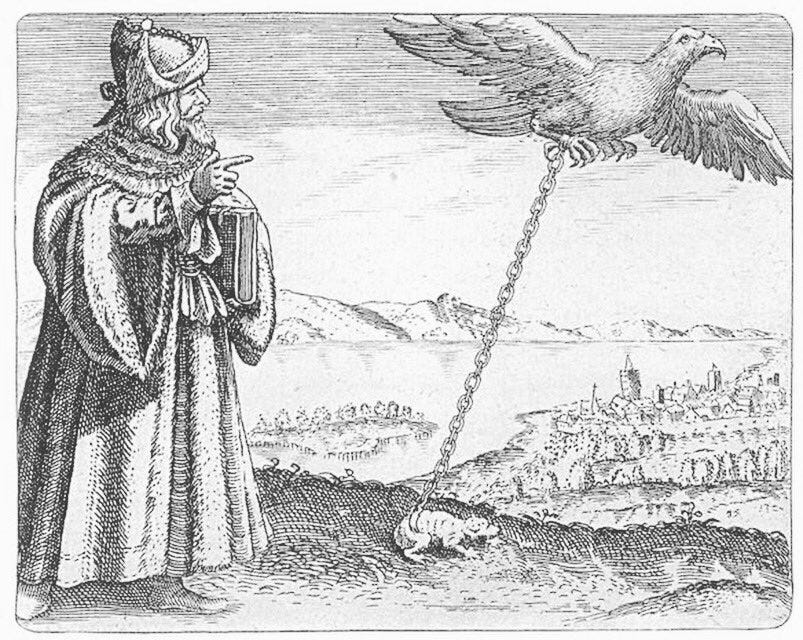 Chantal Powell on Twitter: "The eagle and the toad used to symbolise  mercury and sulphur (dissolution &amp; bonding, volatile &amp; fixed) in  alchemical records. Image - D.Stolcius Von Stolcenberg, Viridarium  chymicum, 1624. #