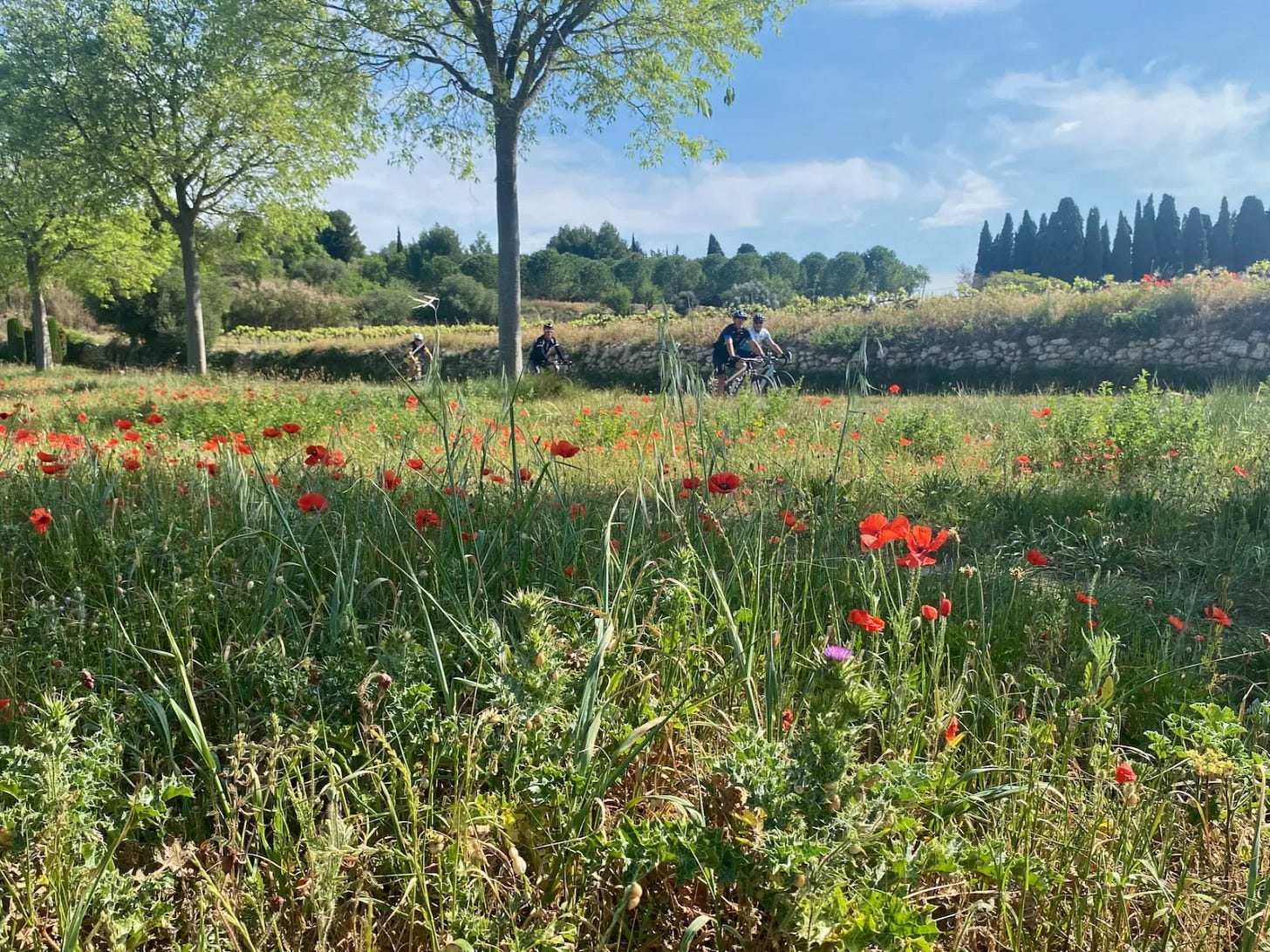 Pour la transparence tarifaire des épreuves bikepacking Pour la transparence tarifaire des épreuves bikepacking